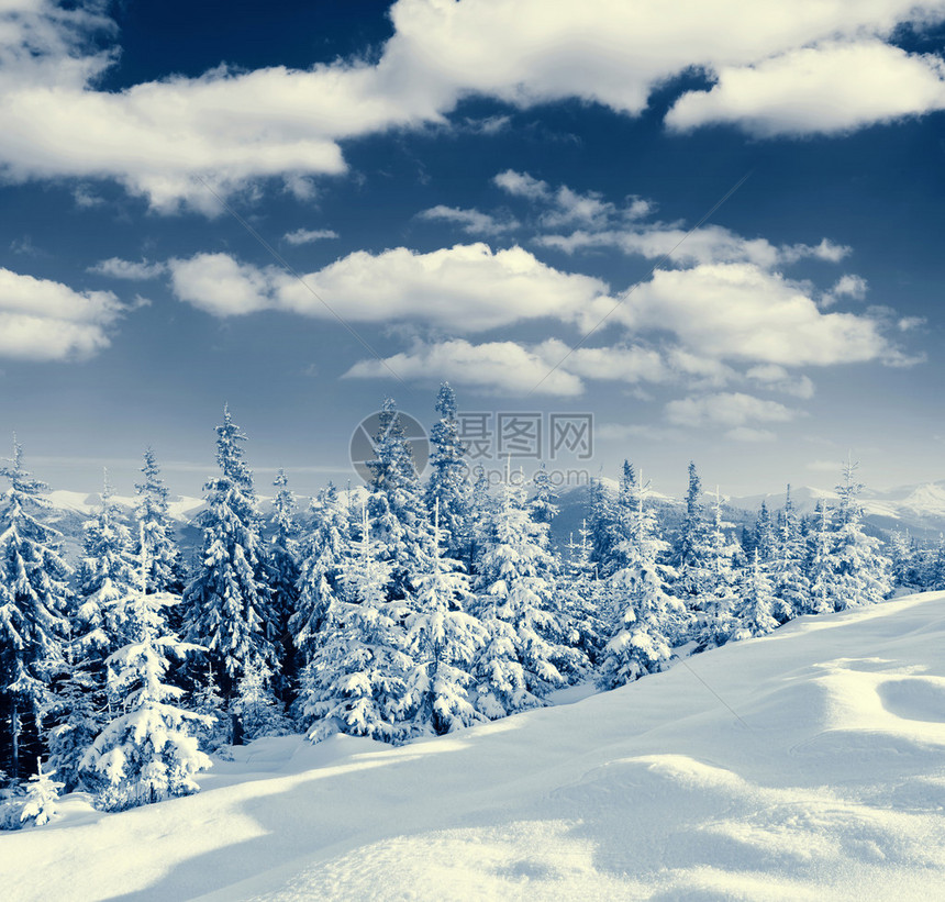 美丽的冬季全景有图片