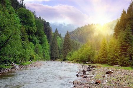 夏季山区河流的美丽景色图片