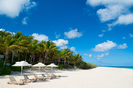 加勒比安圭拉美丽热带海滩上图片