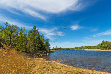 初夏有约夏天初夏清的全景观在瑞典一个有蓝天空和一些背景