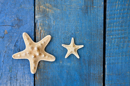 蓝色木头上的海星图片