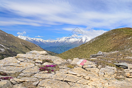 在浅地岩石有山路红白标杆和背景下积雪的山脉中背景图片