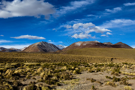 蓝色天空和白云之上的沙漠和山丘玻利维图片