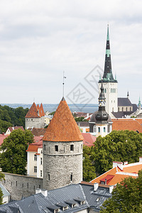 爱沙尼亚塔林老城塔图片