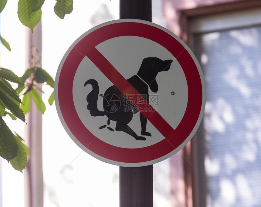 禁止狗在街上拉屎的警告路标图片