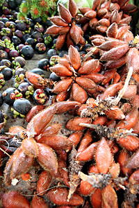 泰国的Salacca水果和其图片