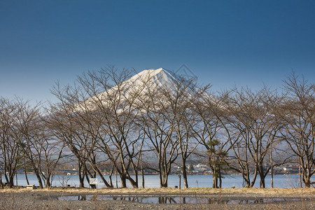 美丽的富士山与湖泊日本图片