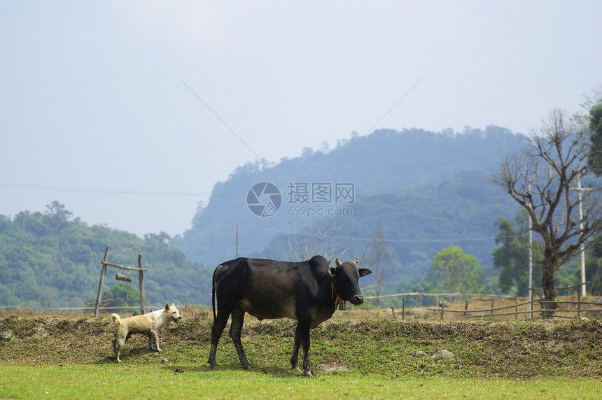 泰国北部农业村地区MaeKlangLuang的图片