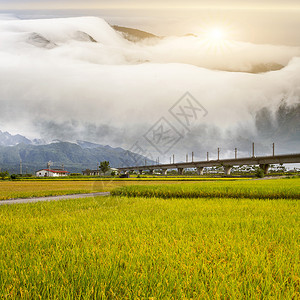 早上在田地里做广告或其他用途并装图片