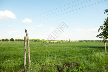 草地上的电围栏图片