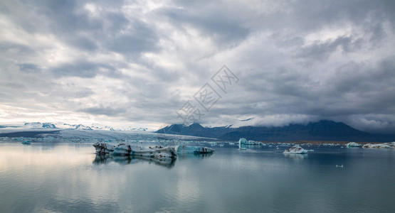 在冰岛Jokulsarlon冰川环礁湖漂浮的蓝色图片