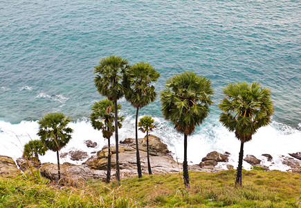安达曼海旁的甘蔗泰国普吉岛图片