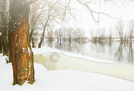 冬天的河流和冬天的树木图片