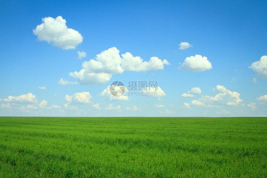 蓝天上有绿草和云彩的田野图片