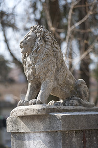 墓前的石狮图片