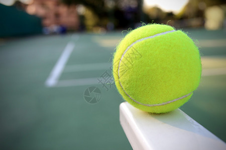 在网球场的网球图片