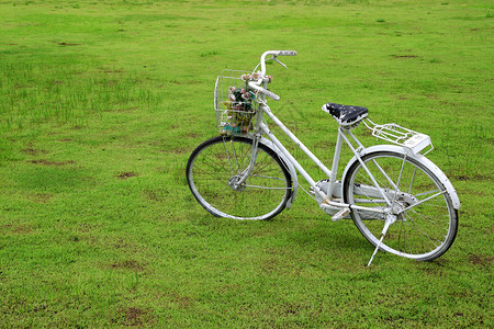 绿草上的旧自行车图片