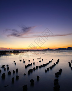 夕阳与海石图片