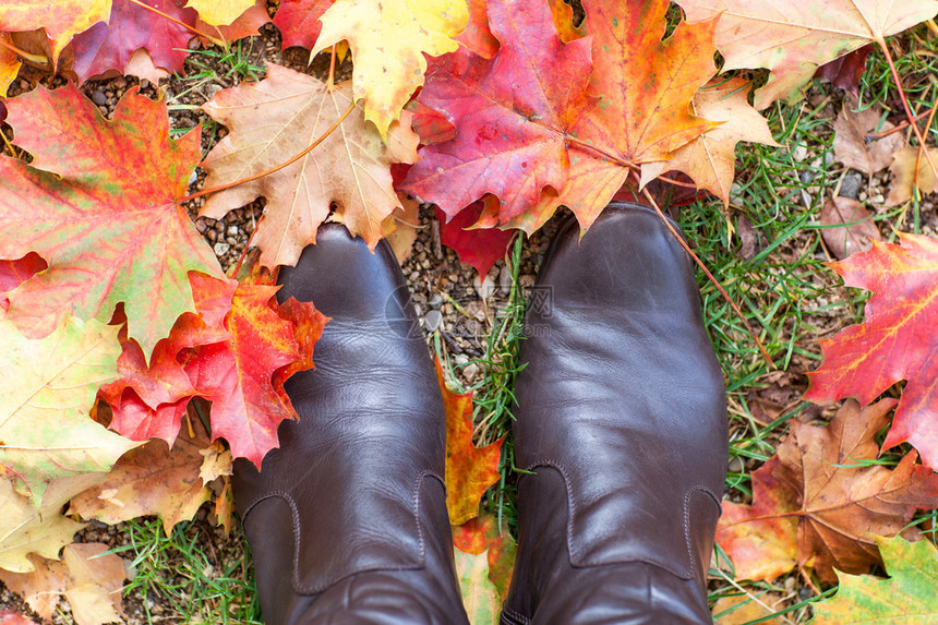 秋天五颜六色的红黄枫叶在公园里穿着女靴图片