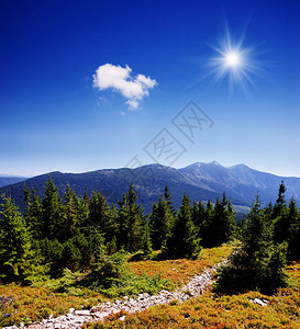 夏天风景在山的明亮的夏日图片