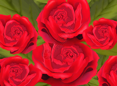 手绘红玫瑰和绿叶背景用于印花卡或图片