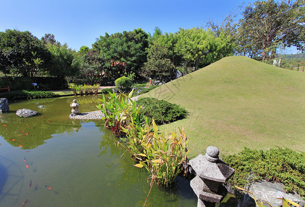 日本花园的鱼池图片