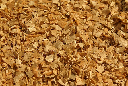 干红山毛榉木屑和干棕色树皮碎片图片