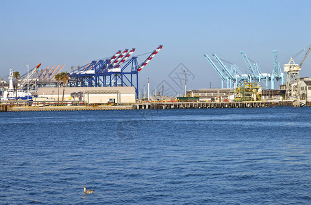 圣佩德罗码头和起重机南图片
