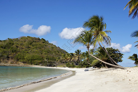 加勒比海风景热带海滩图片