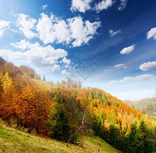 山地秋天的风景图片