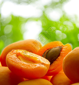 在年轻的绿叶背景上成熟的杏子图片