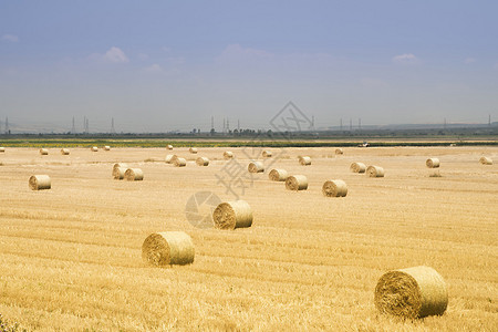 希腊草地上的稻草大圆干草堆高清图片