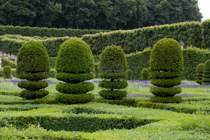 卢瓦尔河谷城堡的华丽装饰花园图片