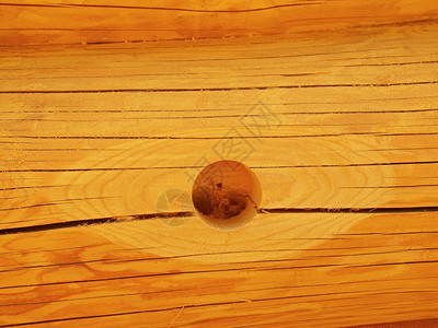 木束中的钻洞在木舱的墙上电图片
