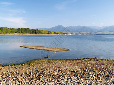 夏季景色描绘利普托夫斯卡马拉湖的岸边图片