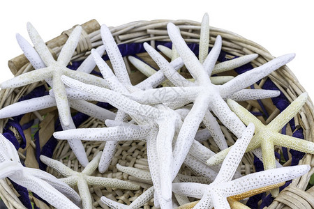 紧地塞满了海星的编织草篮图片