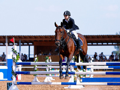 马术运动表演跳跃克服障碍骑马的女运动员一匹红马上的女骑士马术骑马赛马背景图片