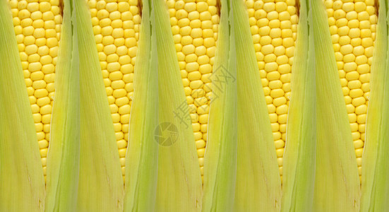 黄绿玉米拼贴图片