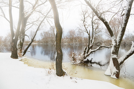 冬季结冰的河流和树木图片