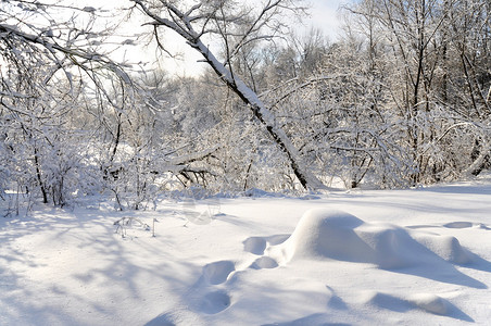 季节冬季景观图片