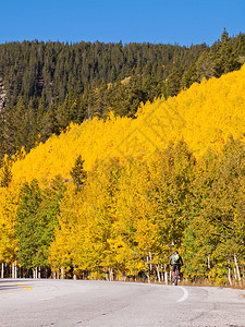 秋天在科罗拉多州山路边的山图片