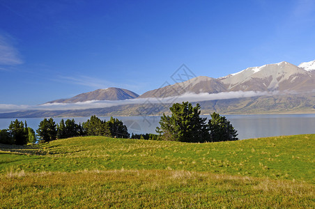 新西兰的普卡基湖图片