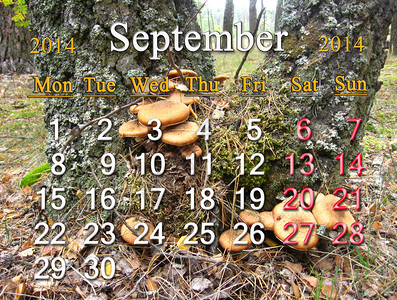 2014年9月日历关于以树枝为背景的蘑图片