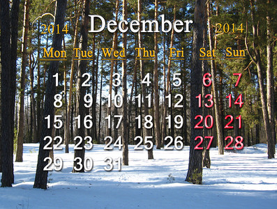2014年12月冬季森林背景的美丽的2014年12图片