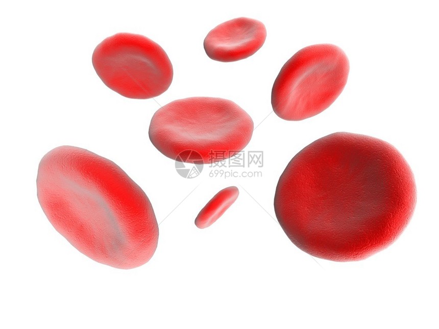 血细胞上白色孤立图片