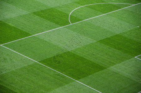足球场绿草上的线条图片