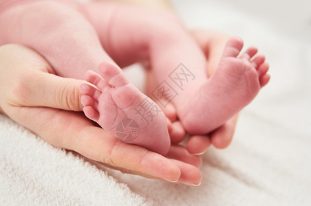 婴儿腿新生儿在父母亲图片