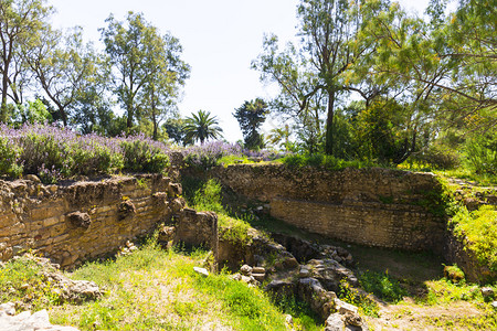 突尼斯的旧迦太基遗址图片