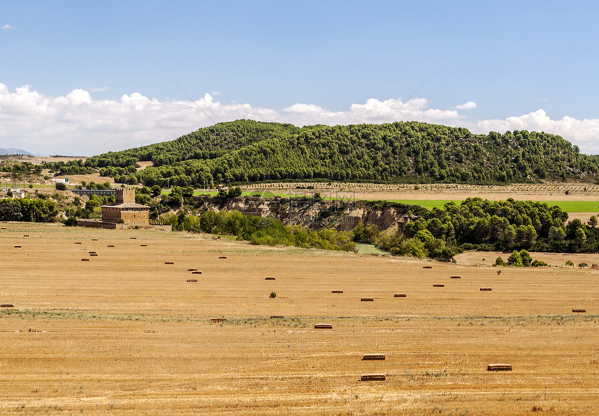 西班牙Teruel省小麦田图片