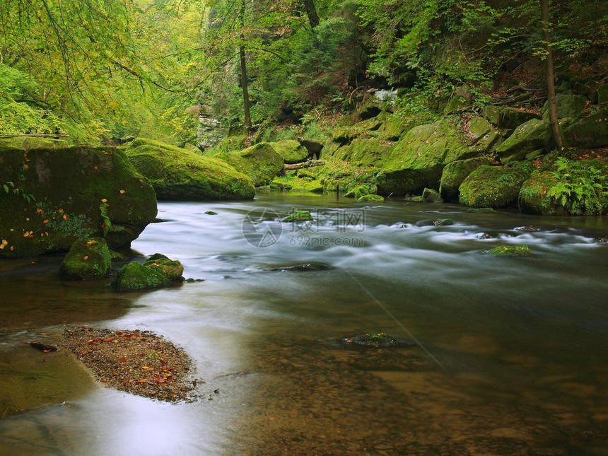 在砂岩峡谷和金合欢山毛榉和橡树的绿色树枝下欣赏山间溪流水位使绿色反射在山区河图片